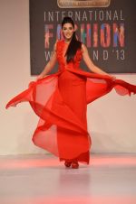 Nargis Fakhri at Nachiket Barve Show on day 2 of Signature International fashion week in Mehboob, Mumbai on 16th Nov 2013
